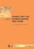 Energy and the Environmental Challenge