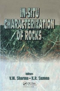 In-situ Characterization of Rocks (inbunden)