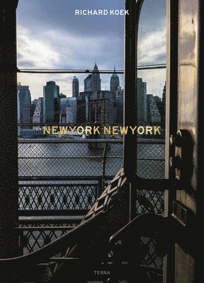 New York New York (häftad)