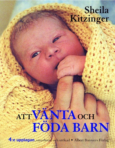 Att vnta och fda barn (hftad)