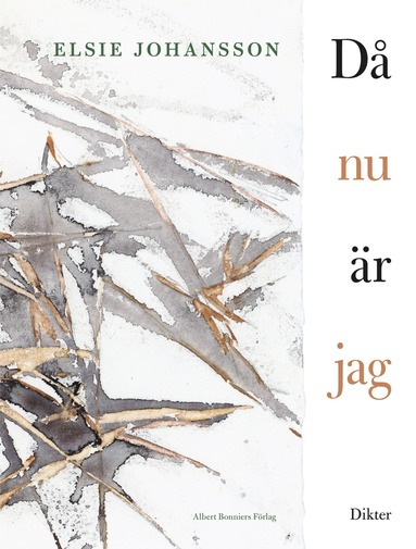 D nu r jag (hftad)