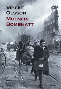 Molnfri bombnatt (e-bok)