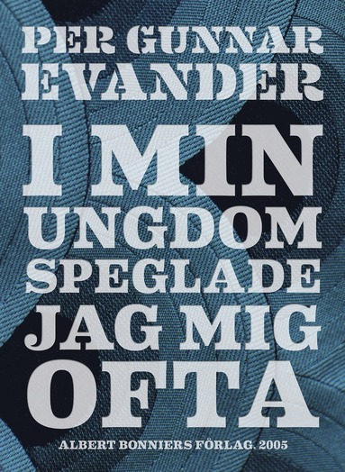 I min ungdom speglade jag mig ofta (e-bok)