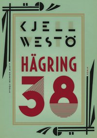 Hägring 38 (e-bok)