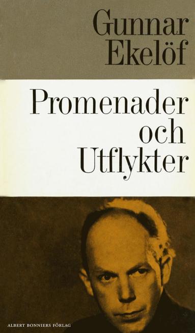 Promenader och utflykter : samlad smprosa (e-bok)