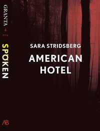 American Hotel : en e-singel ur Granta #4 (e-bok)