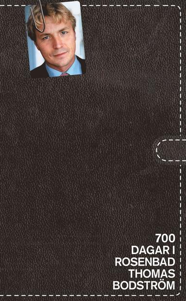 700 dagar i Rosenbad (e-bok)