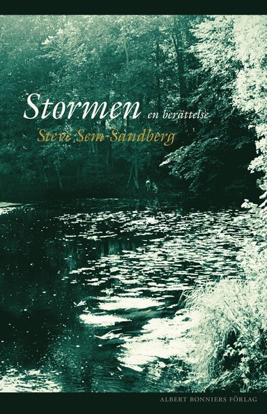 Stormen : en berättelse (e-bok)