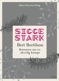 Bert Bertilson : romanen om en okuvlig kämpe (e-bok)
