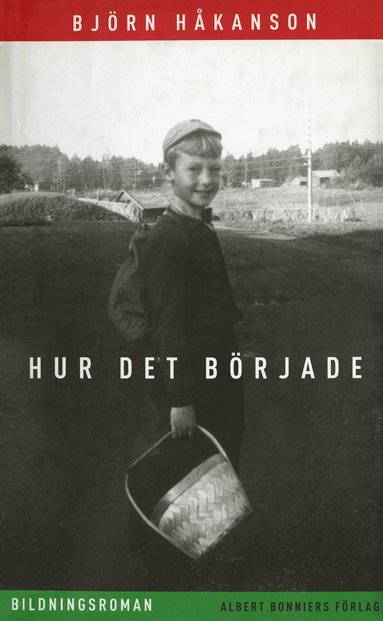 Hur det b�rjade : bildningsroman (h�ftad)
