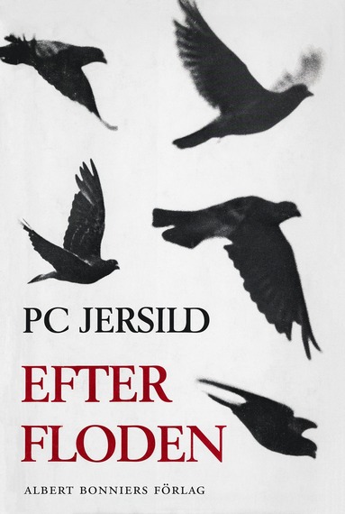 Efter floden (e-bok)