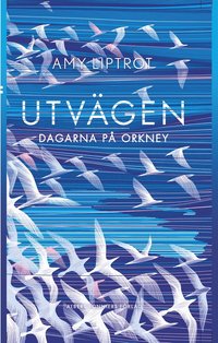 Utvgen : dagarna p Orkney (e-bok)