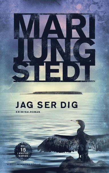 Jag ser dig (ljudbok)