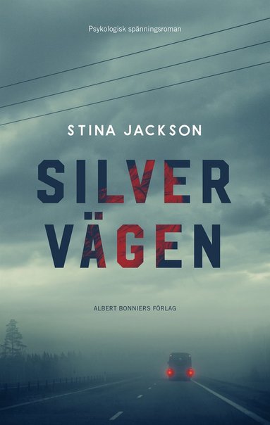 Silvervgen (e-bok)