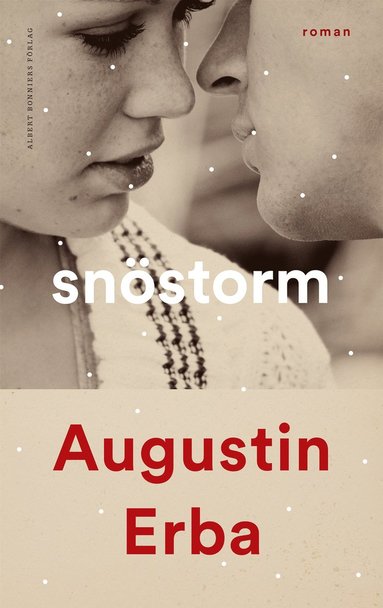 Snstorm (e-bok)