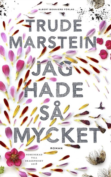 Jag hade så mycket (e-bok)