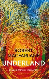 Underland : en upptcktsresa i underjorden (e-bok)