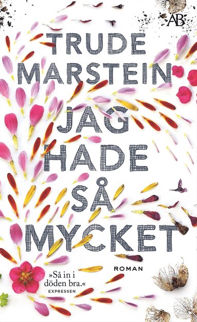 Jag hade så mycket (pocket)