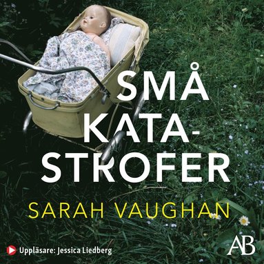Sm katastrofer (ljudbok)