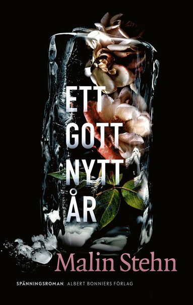 Ett gott nytt r (pocket)