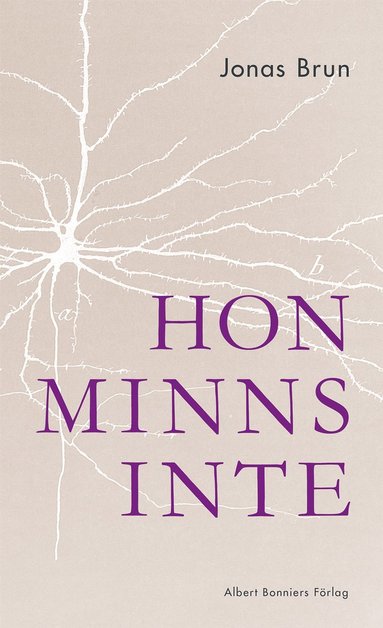 Hon minns inte (inbunden)