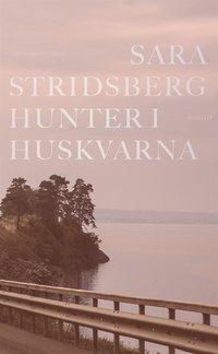 Hunter i Huskvarna (e-bok)