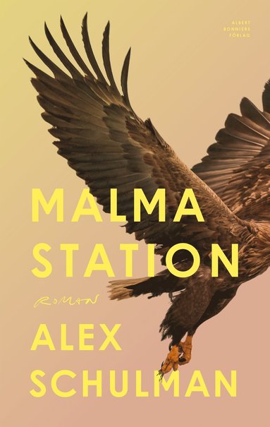Malma station (e-bok)