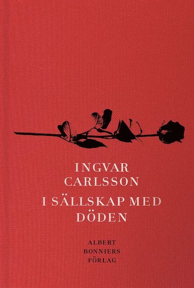 I sllskap med dden (inbunden)