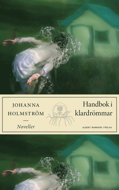 Handbok i klardrmmar (e-bok)