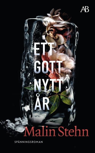 Ett gott nytt r (pocket)