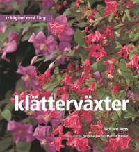 Klttervxter : Trdgrd med frg (inbunden)