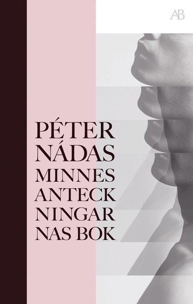 Minnesanteckningarnas bok (inbunden)