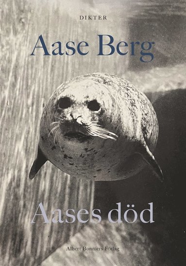 Aases dd (storpocket)