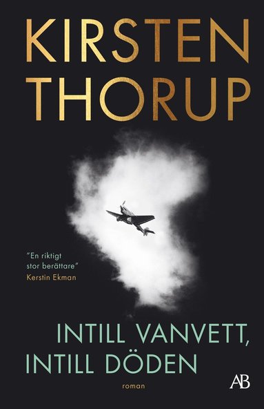 Intill vanvett, intill dden (pocket)