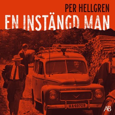 En instngd man (ljudbok)