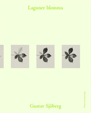 Laguner blomma (pocket)