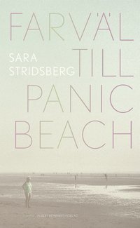 Farväl till Panic Beach roman