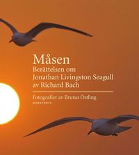 Måsen : berättelsen om Jonathan Livingston Seagull (inbunden)