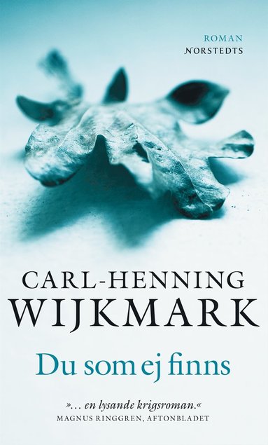 Du som ej finns (e-bok)