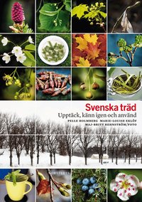 Svenska tr�d : uppt�ck, k�nn igen och anv�nd (inbunden)