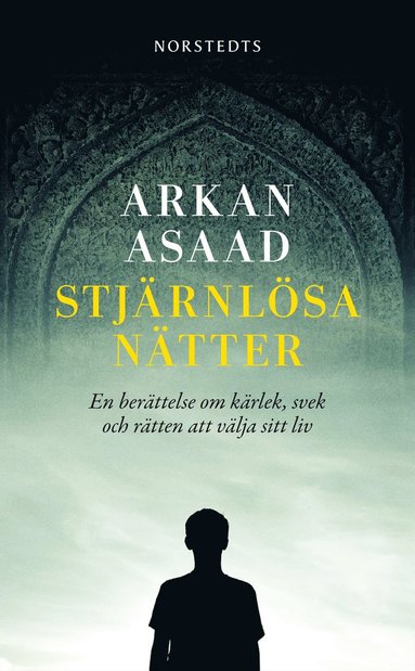 Stjärnlösa nätter : en berättelse om kärlek, svek och rätten att välja sitt liv (pocket)