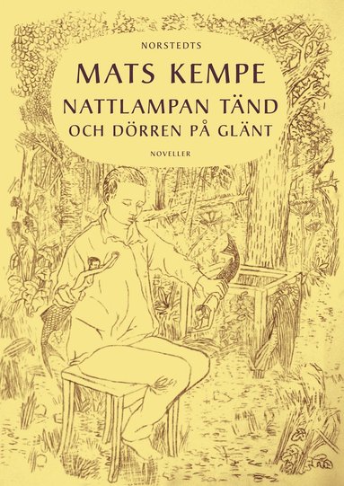 Nattlampan tnd och drren p glnt : noveller (inbunden)