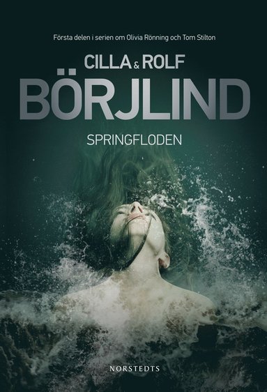 Springfloden