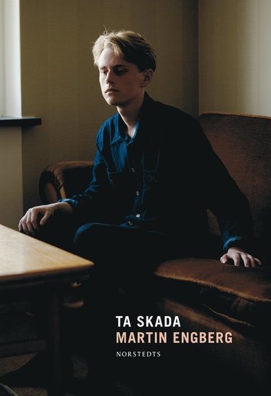 Ta skada (e-bok)