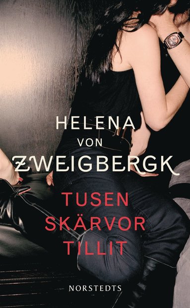 Tusen skrvor tillit (storpocket)