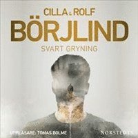 Svart gryning (ljudbok)