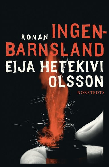 Ingenbarnsland (pocket)