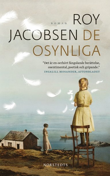 De osynliga (inbunden)