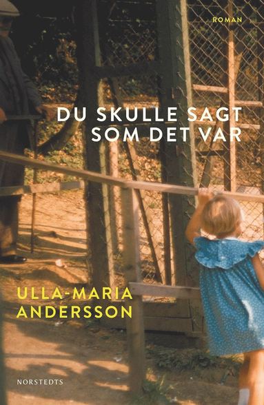 Du skulle sagt som det var