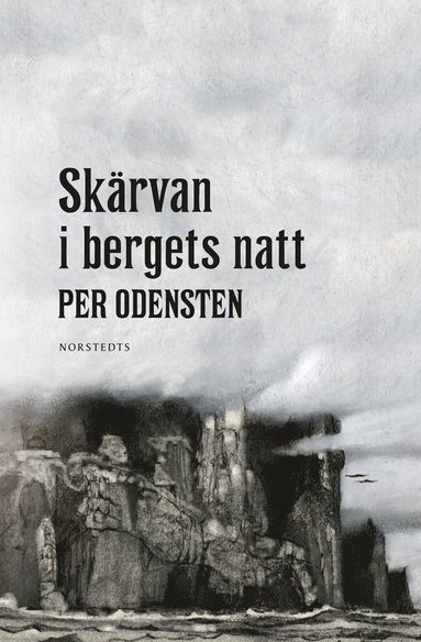Skärvan i bergets natt (häftad)